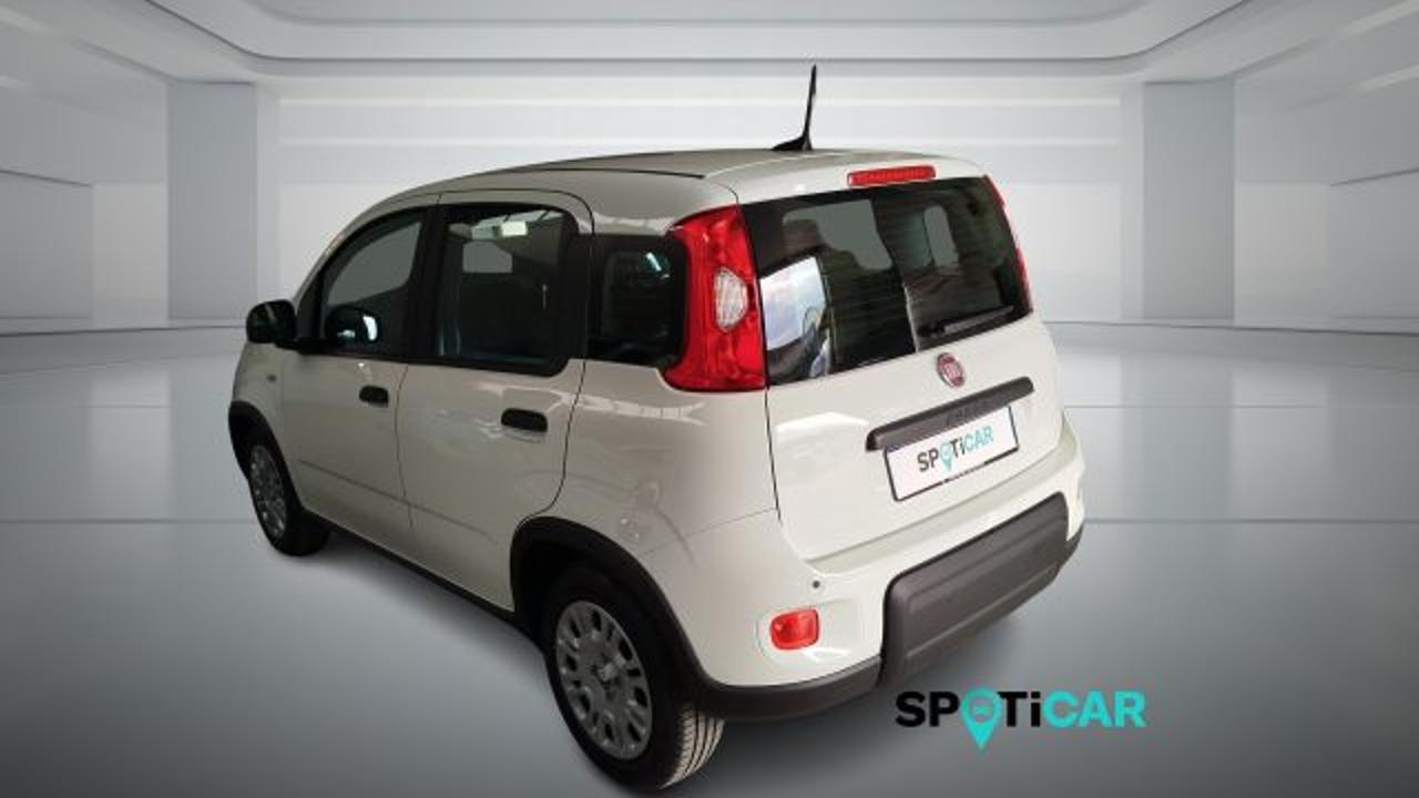 Fiat Fiat Panda usata 14