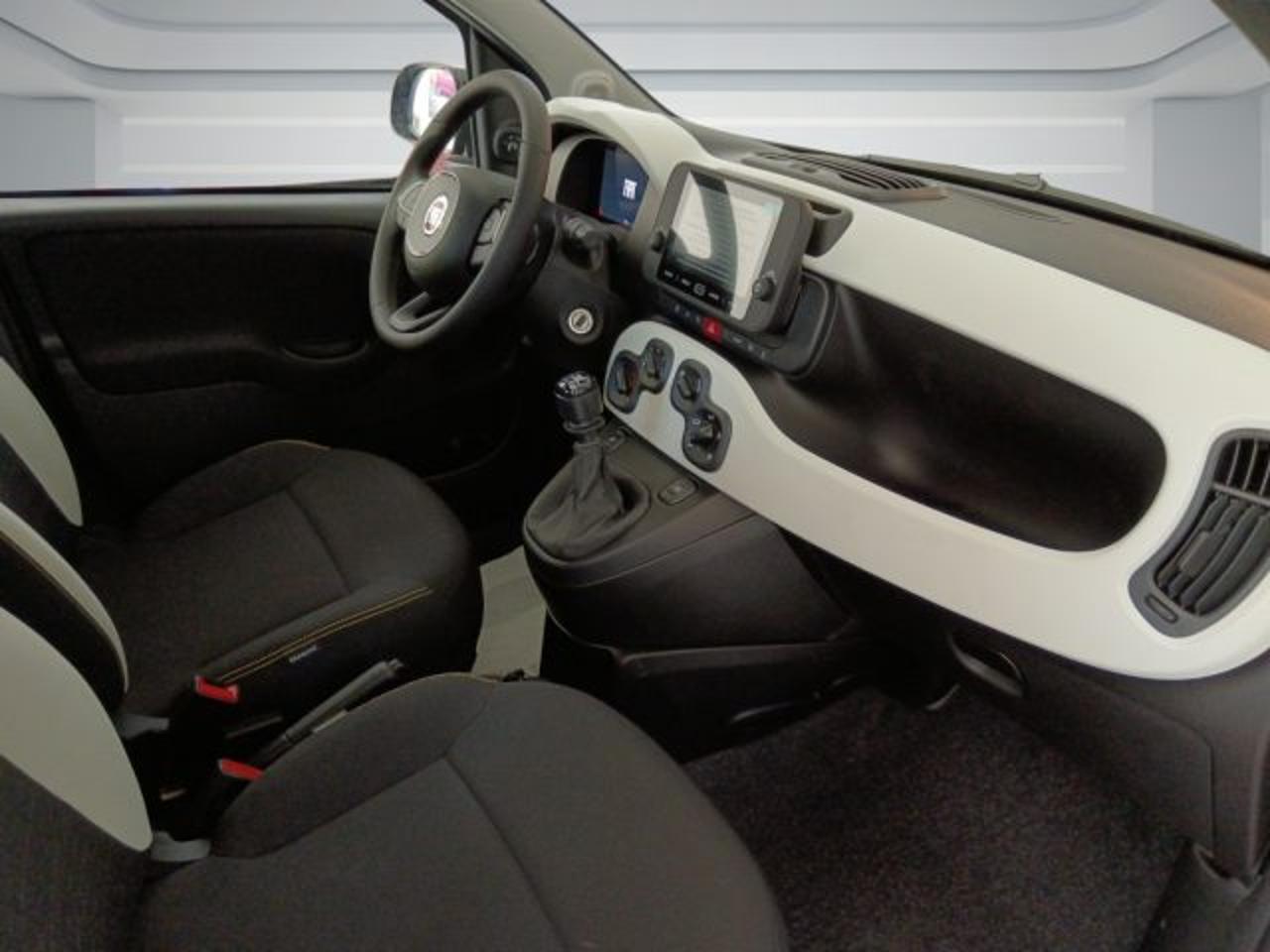 Fiat Fiat Panda usata 5