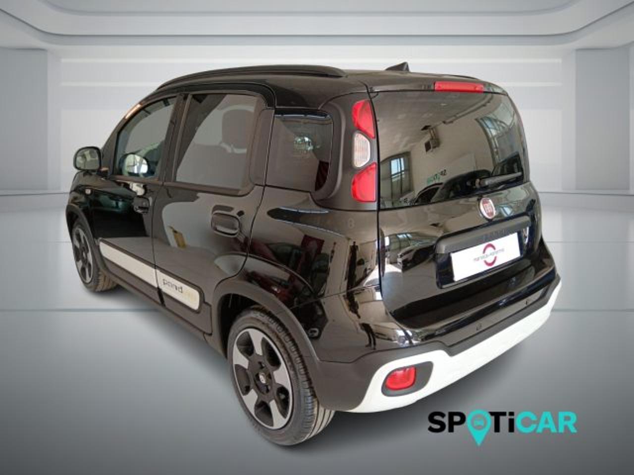 Fiat Fiat Panda usata 14