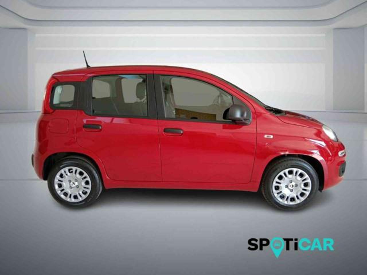 Fiat Fiat Panda usata 18