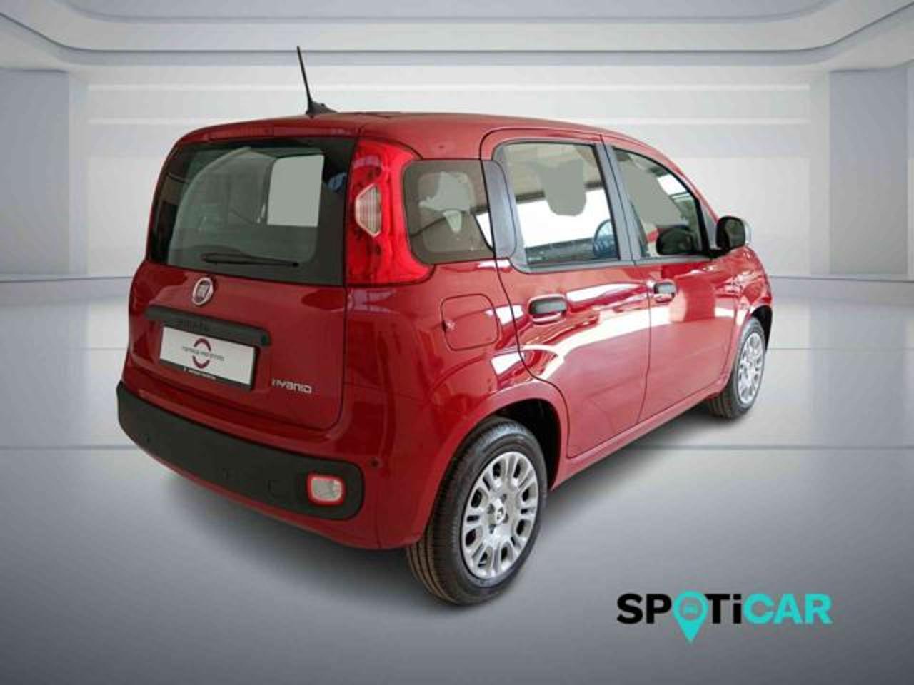 Fiat Fiat Panda usata 19