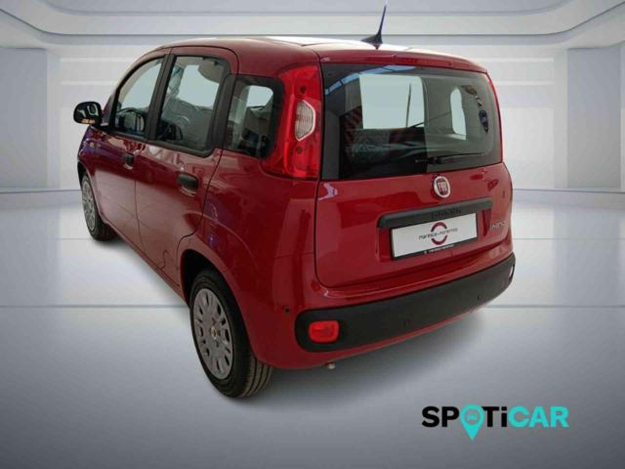Fiat Fiat Panda usata 16
