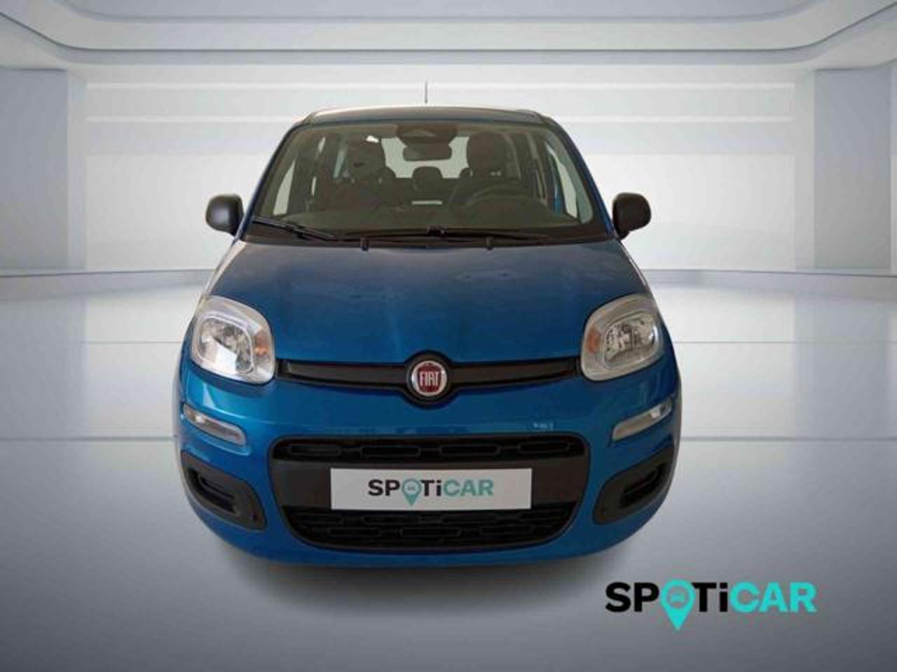 Fiat Fiat Panda usata 11
