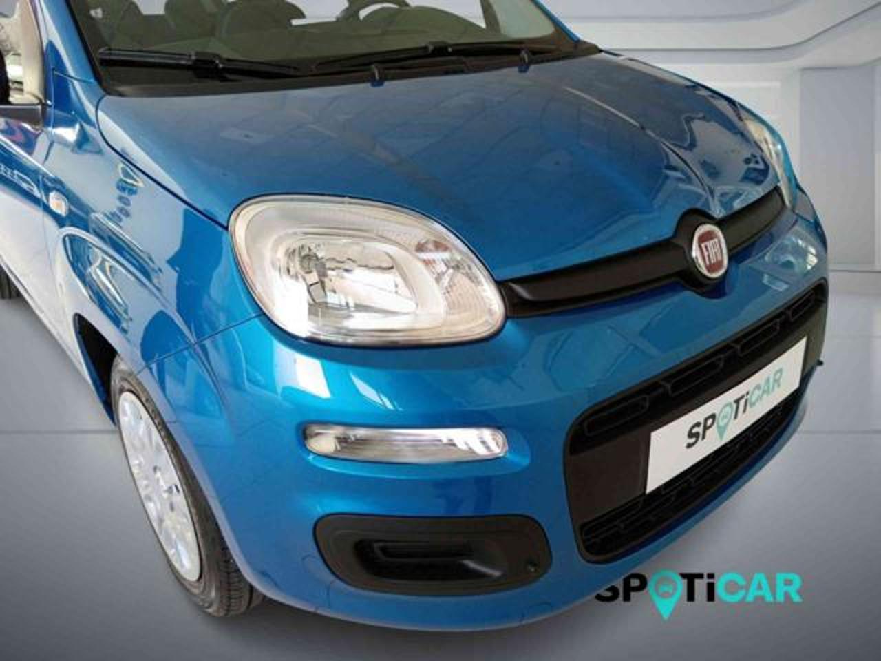 Fiat Fiat Panda usata 14