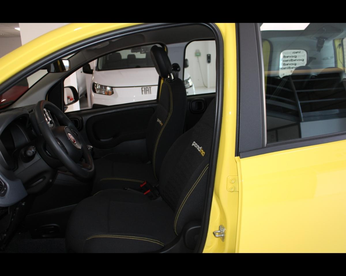 Fiat Fiat Panda usata 2