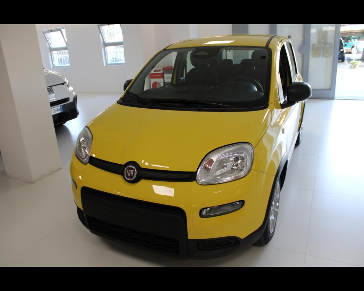 Fiat Fiat Panda usata 13