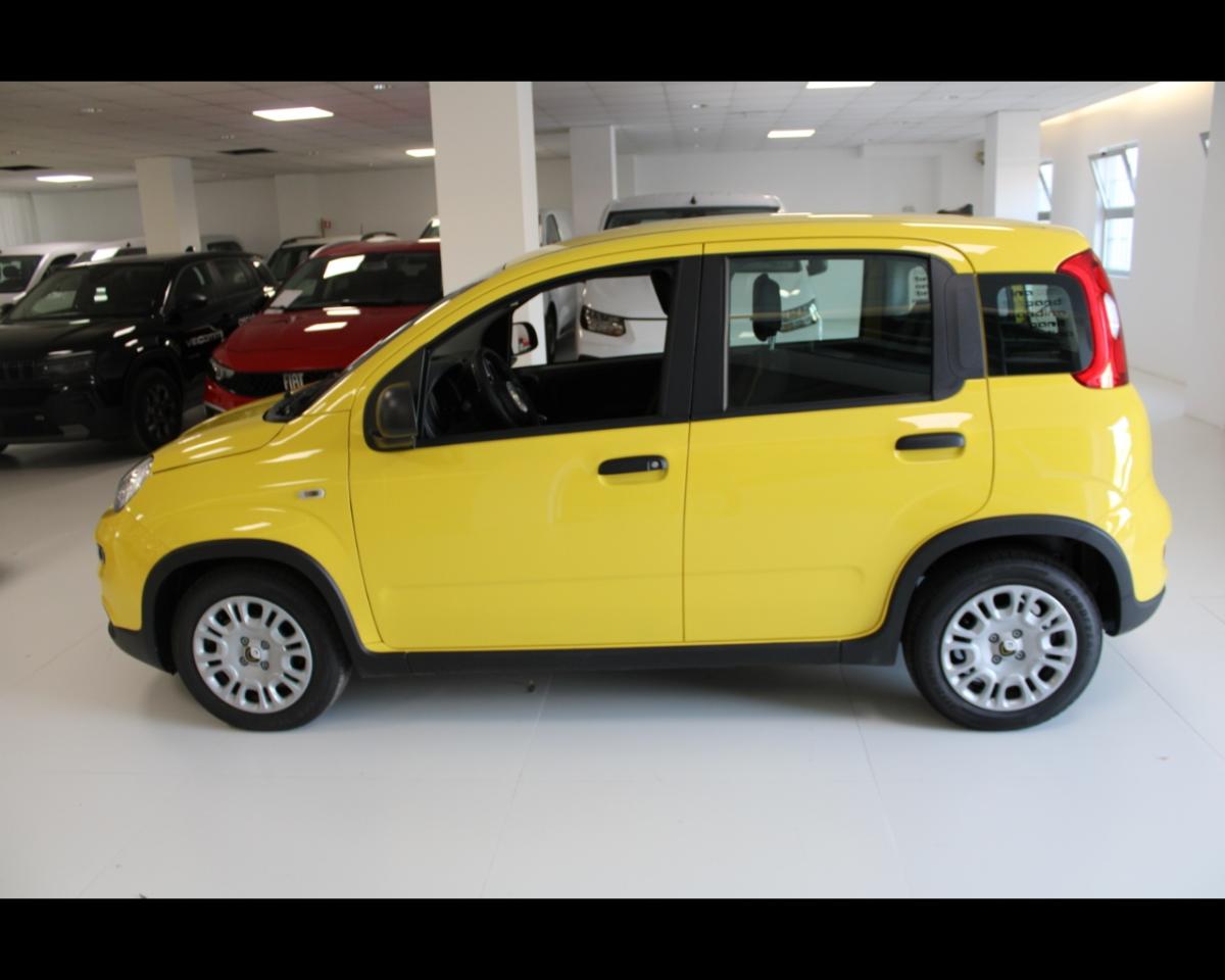 Fiat Fiat Panda usata 14