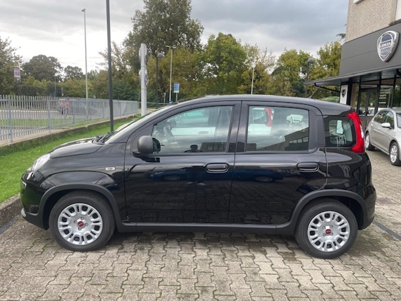 Fiat Fiat Panda usata 1