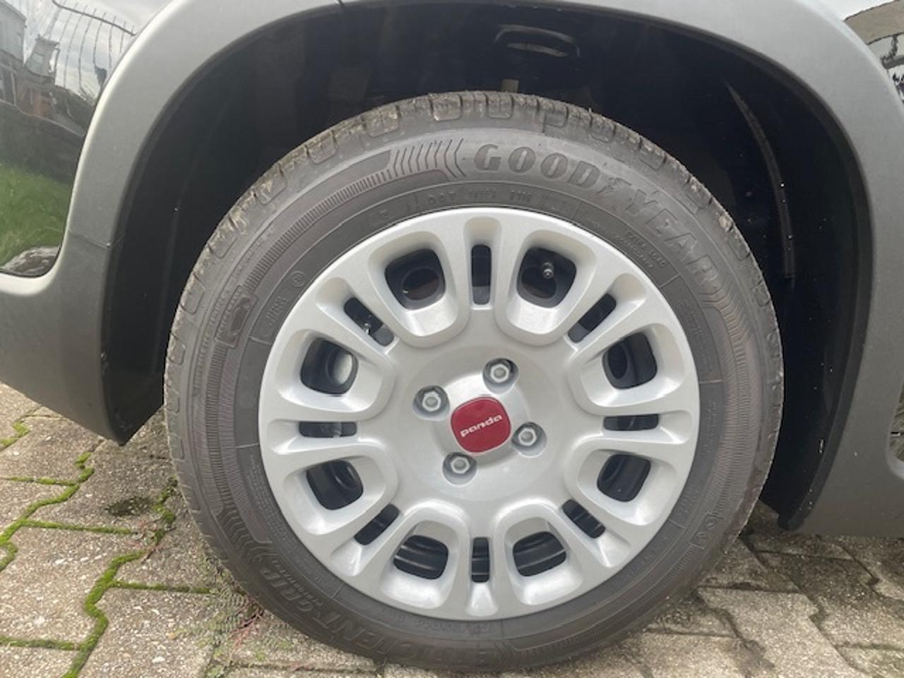 Fiat Fiat Panda usata 2