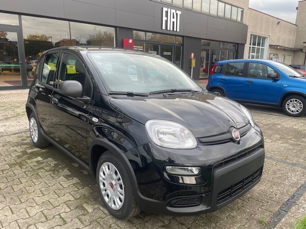 Fiat Fiat Panda usata 17