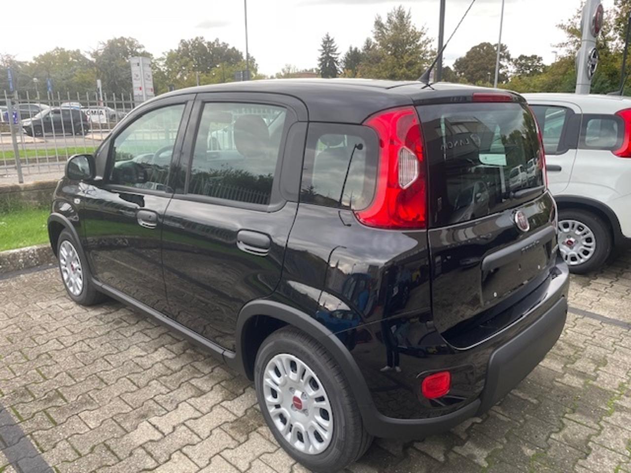 Fiat Fiat Panda usata 23