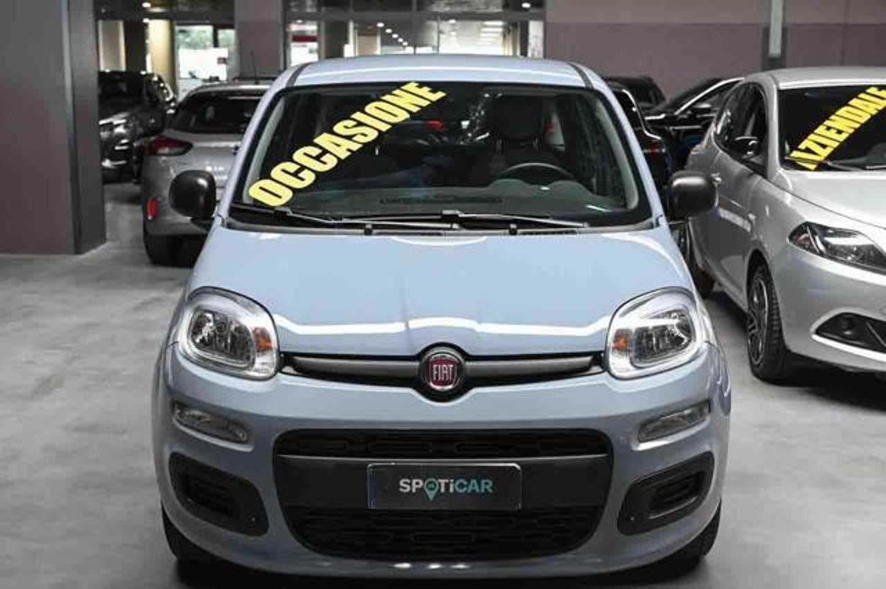 Fiat Fiat Panda usata 11