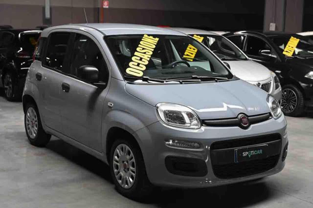 Fiat Fiat Panda usata 13