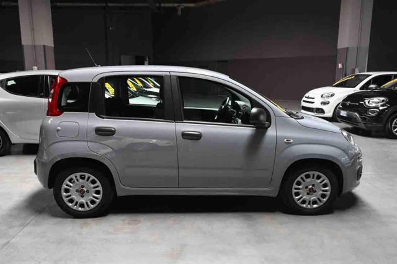 Fiat Fiat Panda usata 14