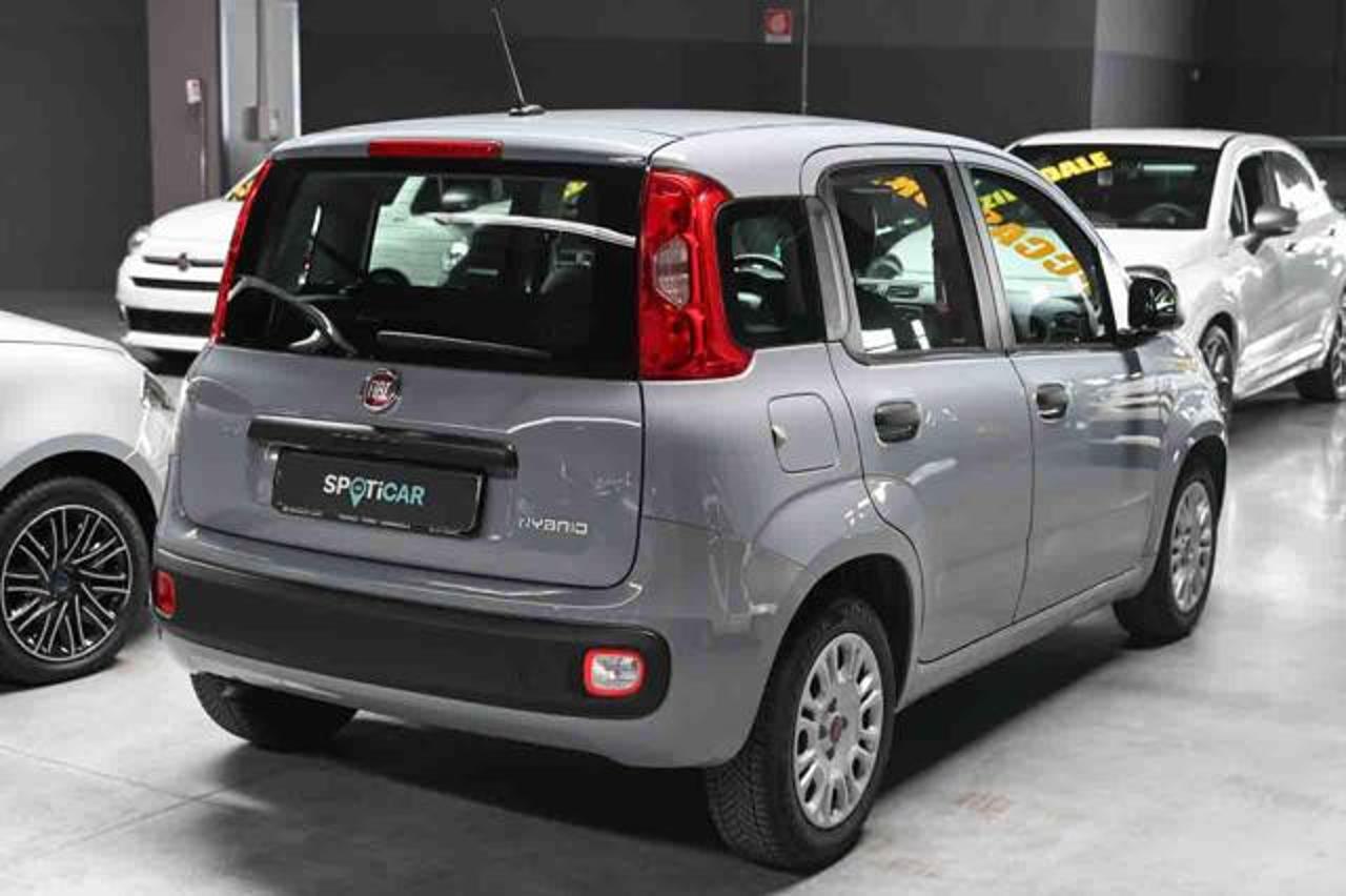 Fiat Fiat Panda usata 15