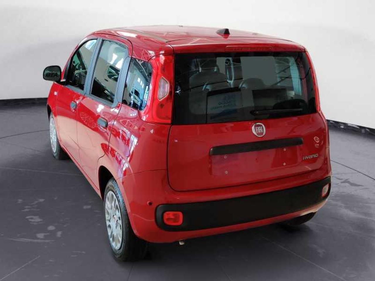Fiat Fiat Panda usata 10