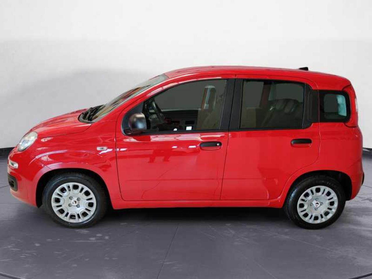 Fiat Fiat Panda usata 12