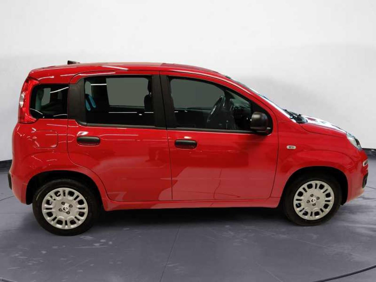 Fiat Fiat Panda usata 13