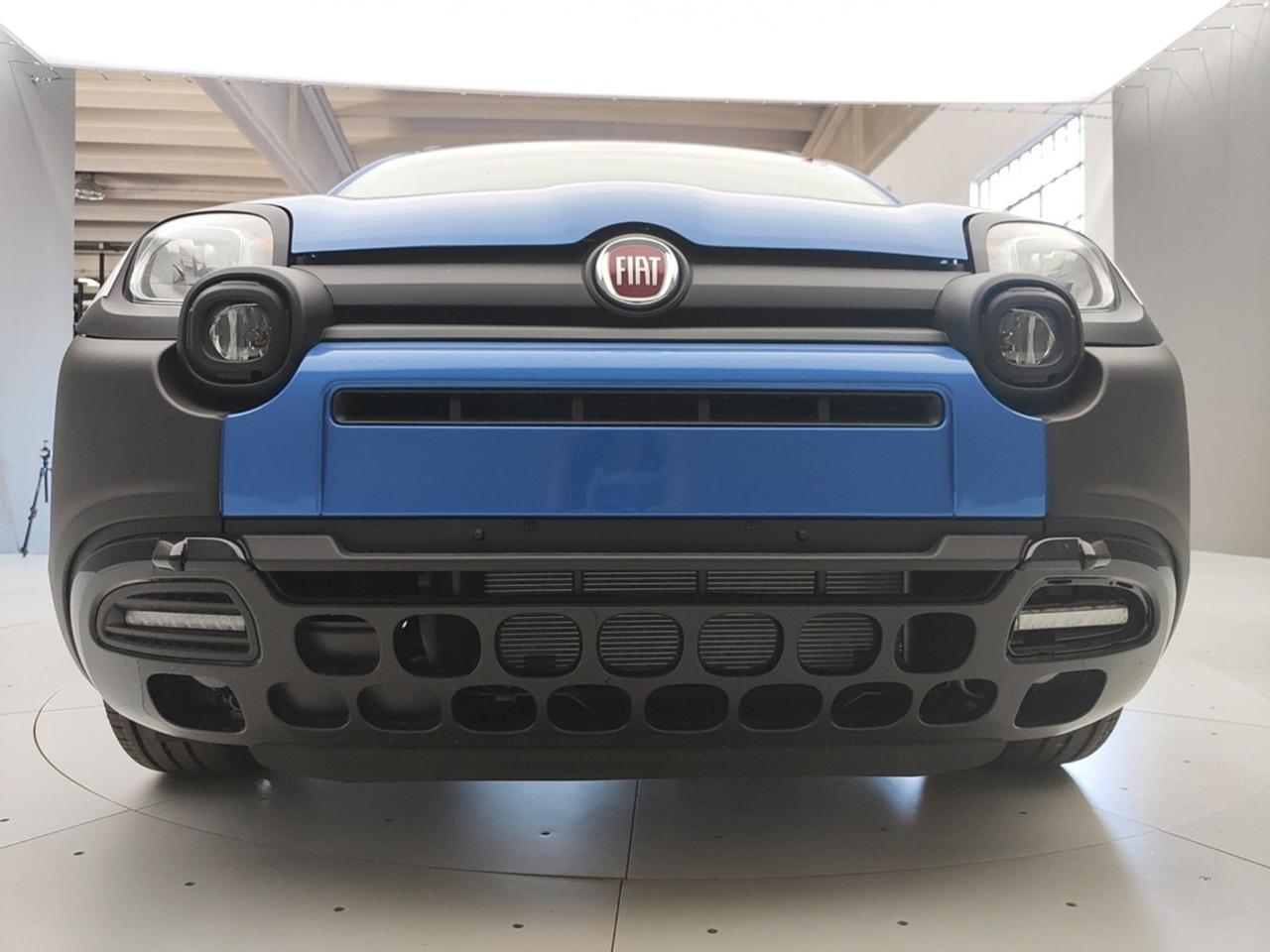 Fiat Fiat Panda usata 15