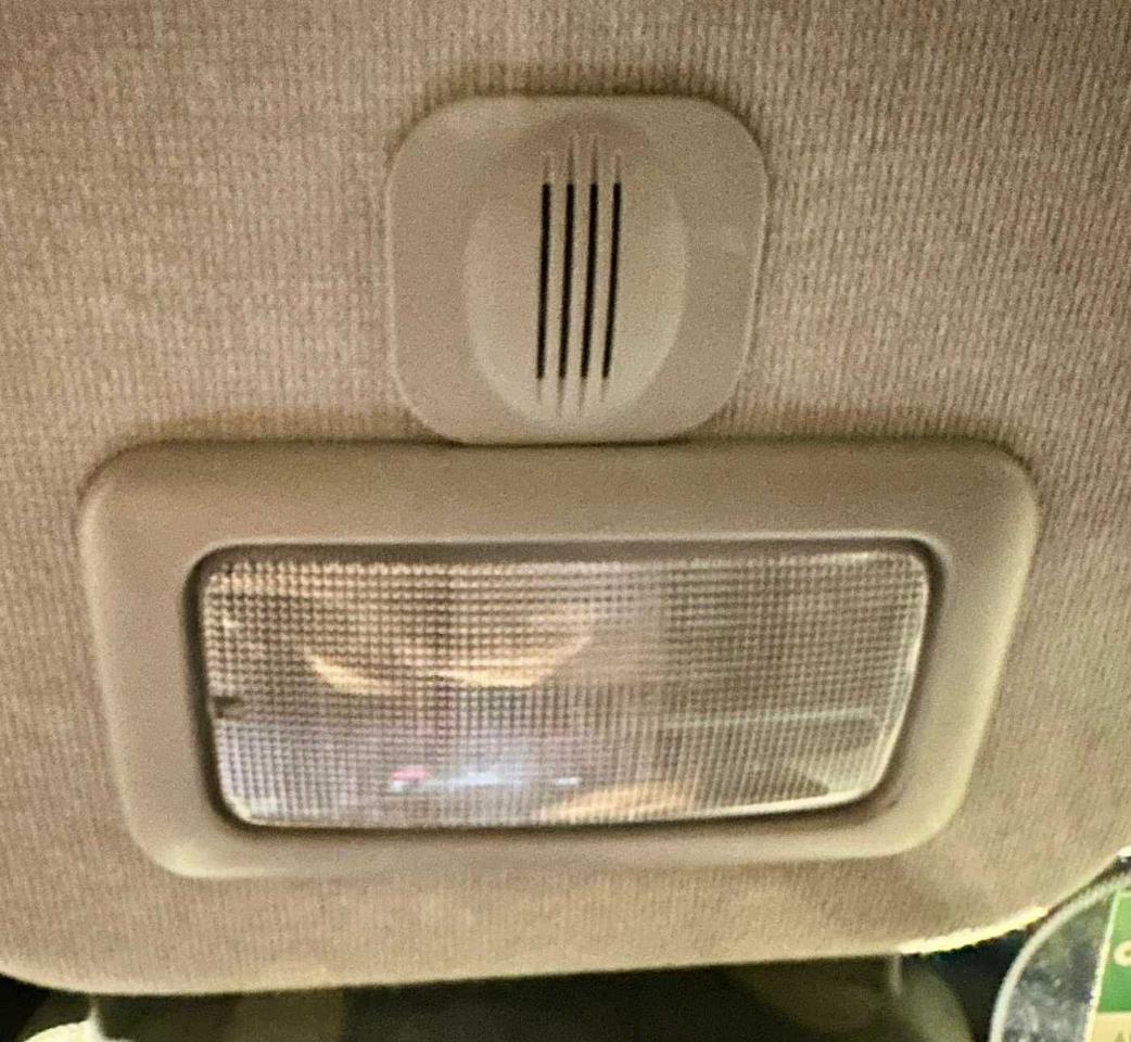 Fiat Fiat Panda usata 16