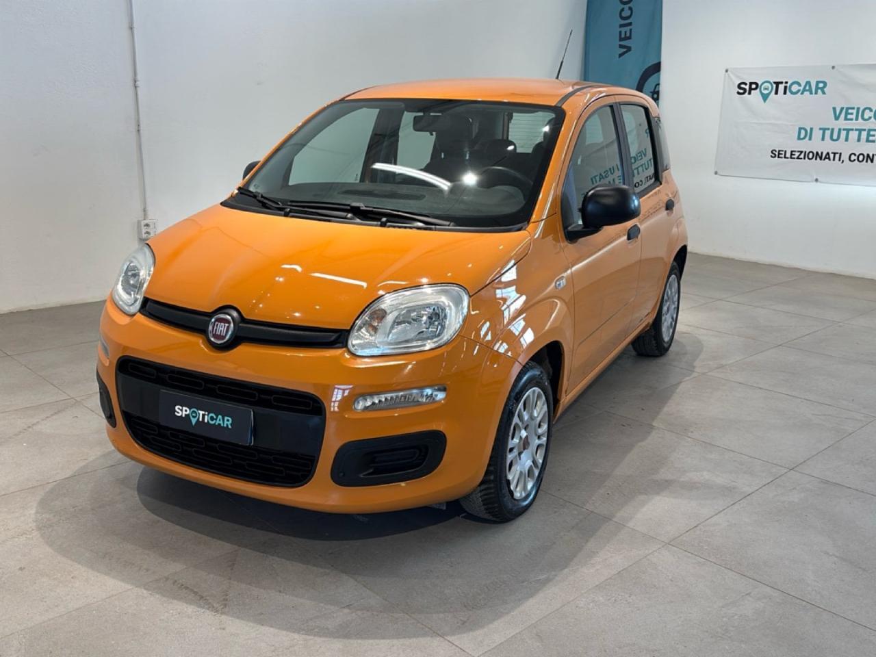 fiat panda panda 1.2 69cv easy usata