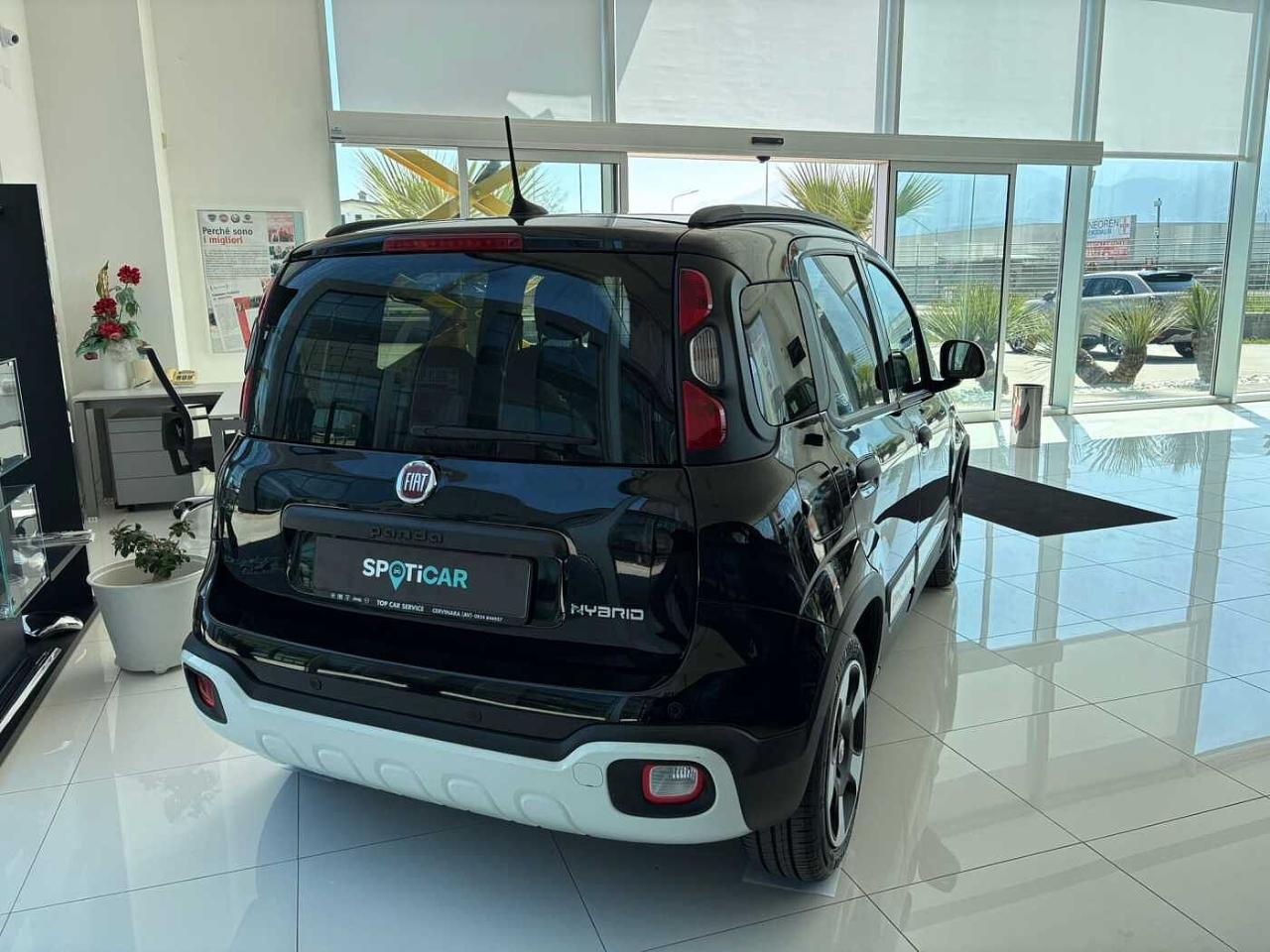 Fiat Fiat Panda usata 21