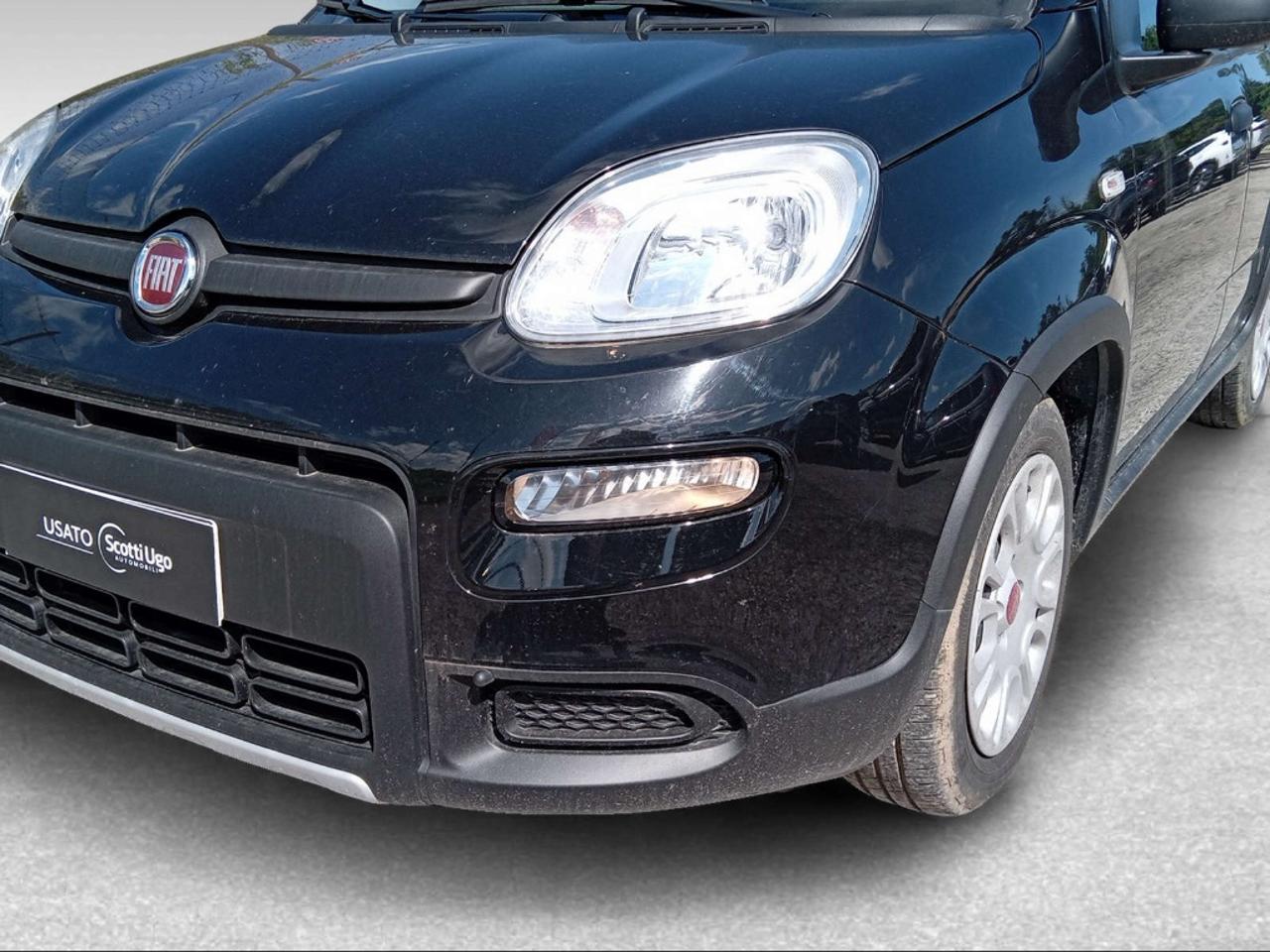 Fiat Fiat Panda usata 7