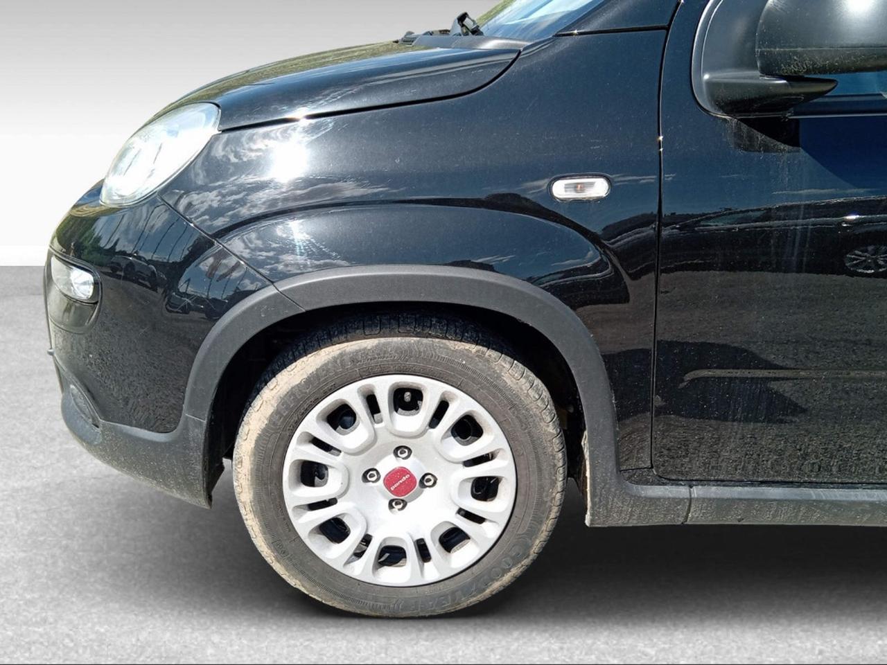 Fiat Fiat Panda usata 8
