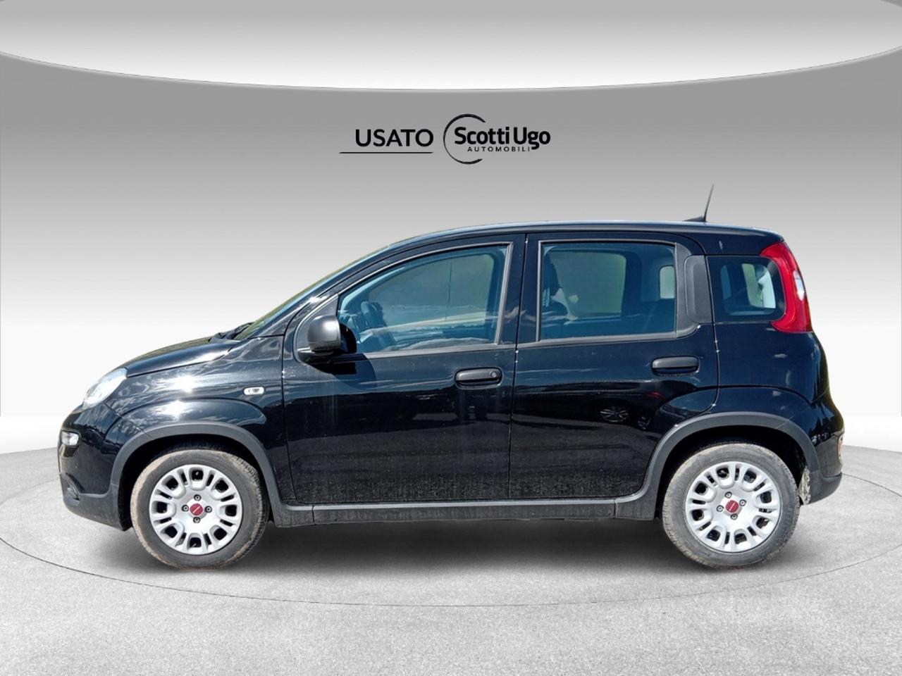 Fiat Fiat Panda usata 10