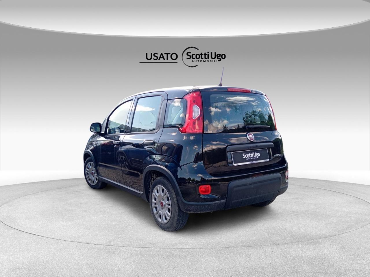 Fiat Fiat Panda usata 11