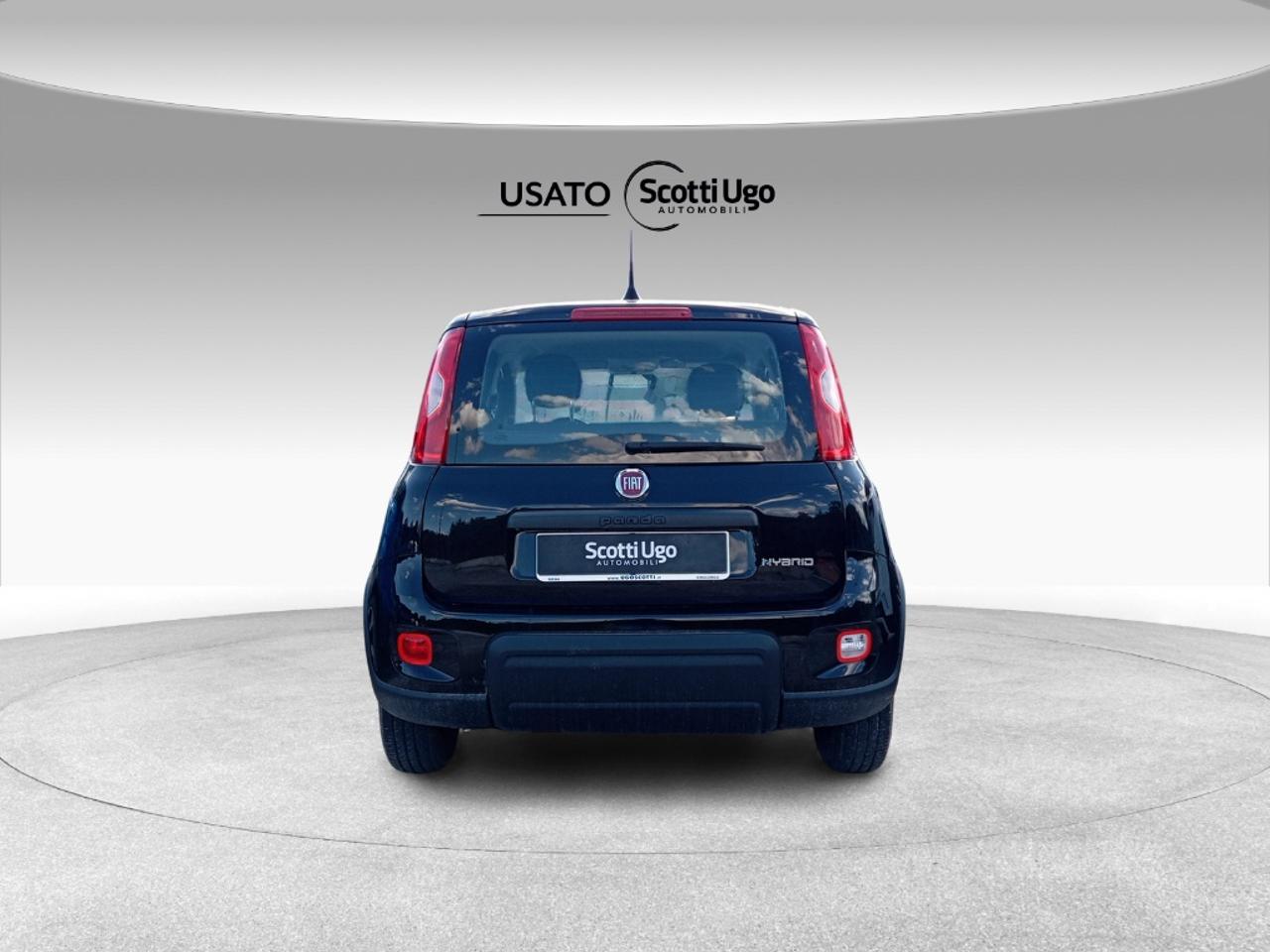 Fiat Fiat Panda usata 12
