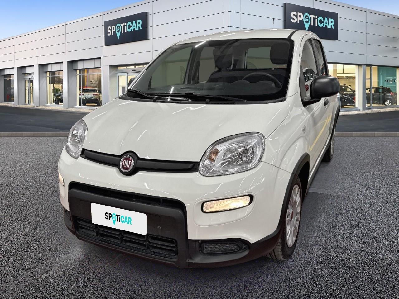 FIAT FIAT PANDA Usato Bianco MILD-HYBRID-PETROL 2024