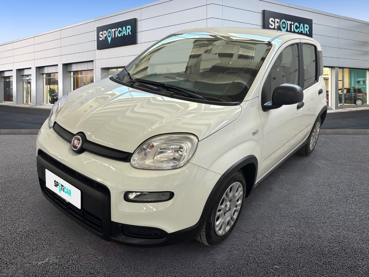 FIAT FIAT PANDA Usato Bianco MILD-HYBRID-PETROL 2024