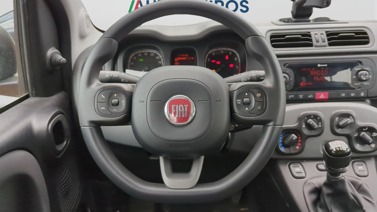 Fiat Fiat Panda usata 7