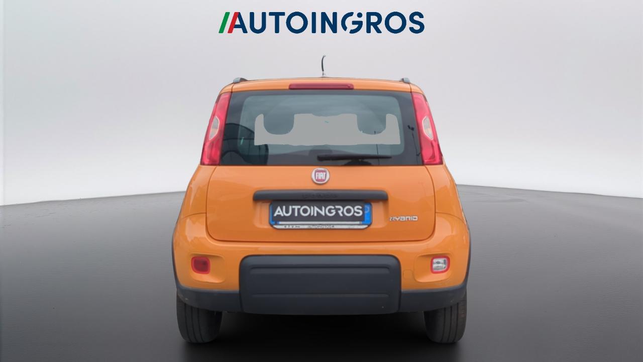 Fiat Fiat Panda usata 11