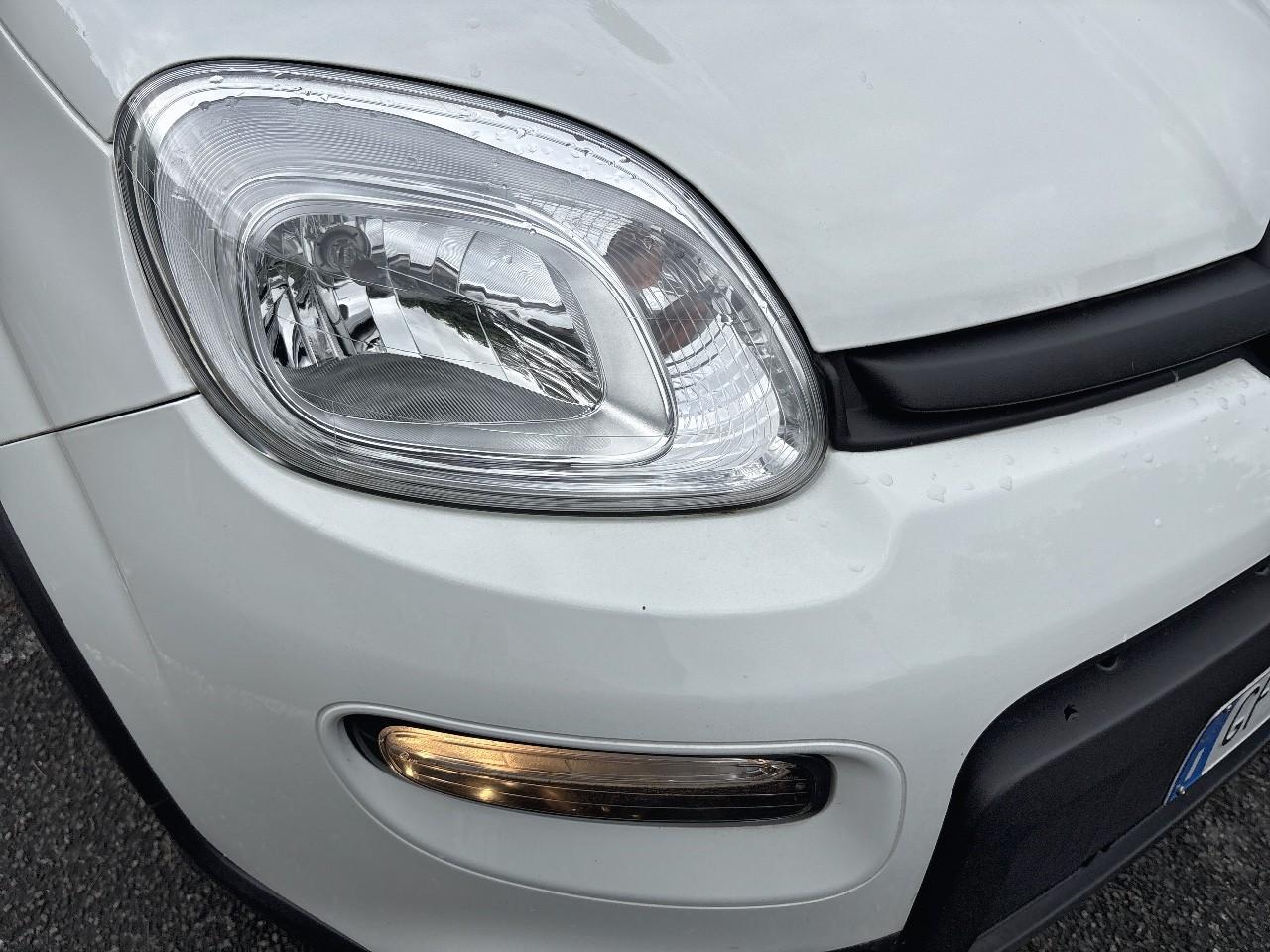 Fiat Fiat Panda usata 9