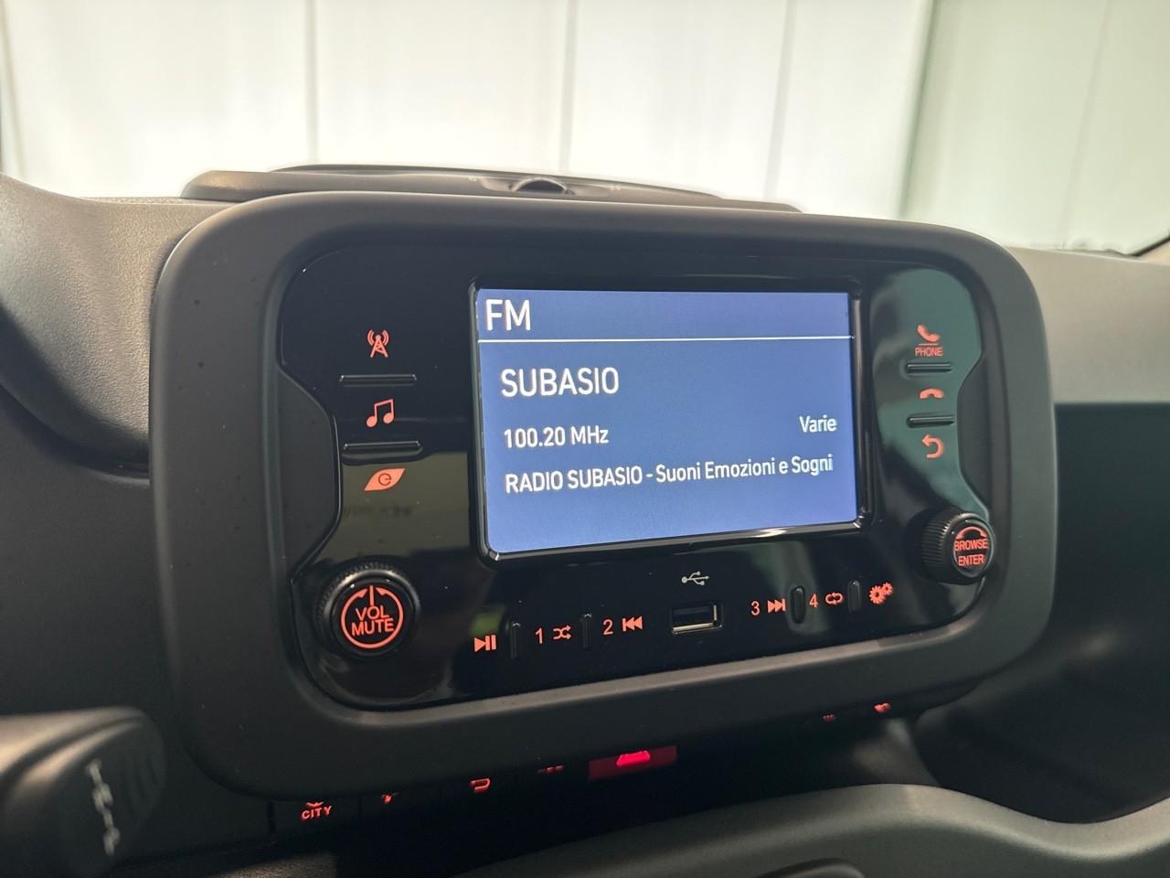 Fiat Fiat Panda usata 7