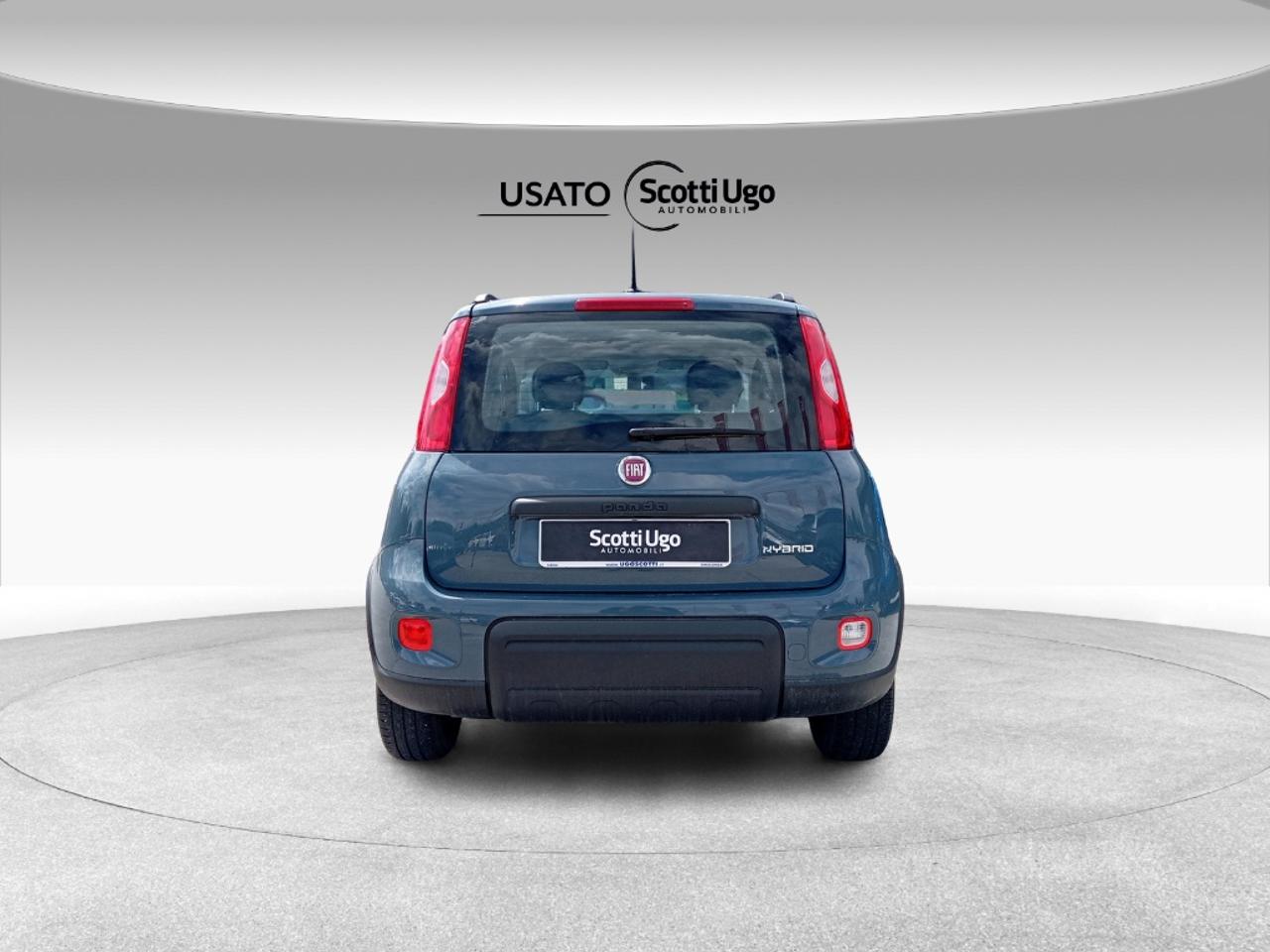 Fiat Fiat Panda usata 12