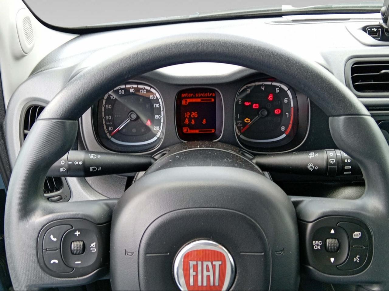 Fiat Fiat Panda usata 14