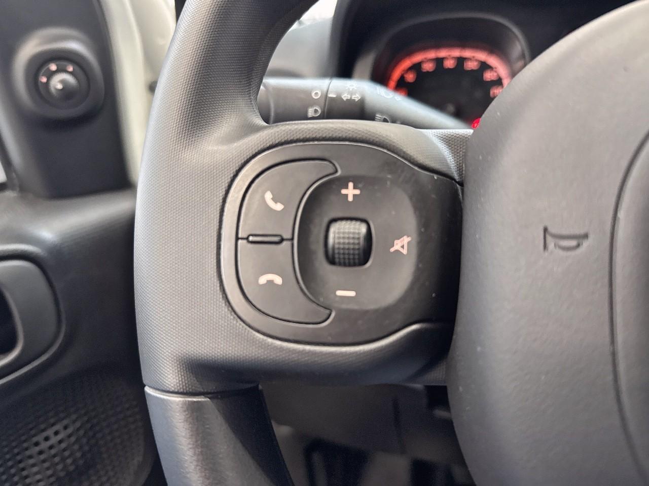 Fiat Fiat Panda usata 9