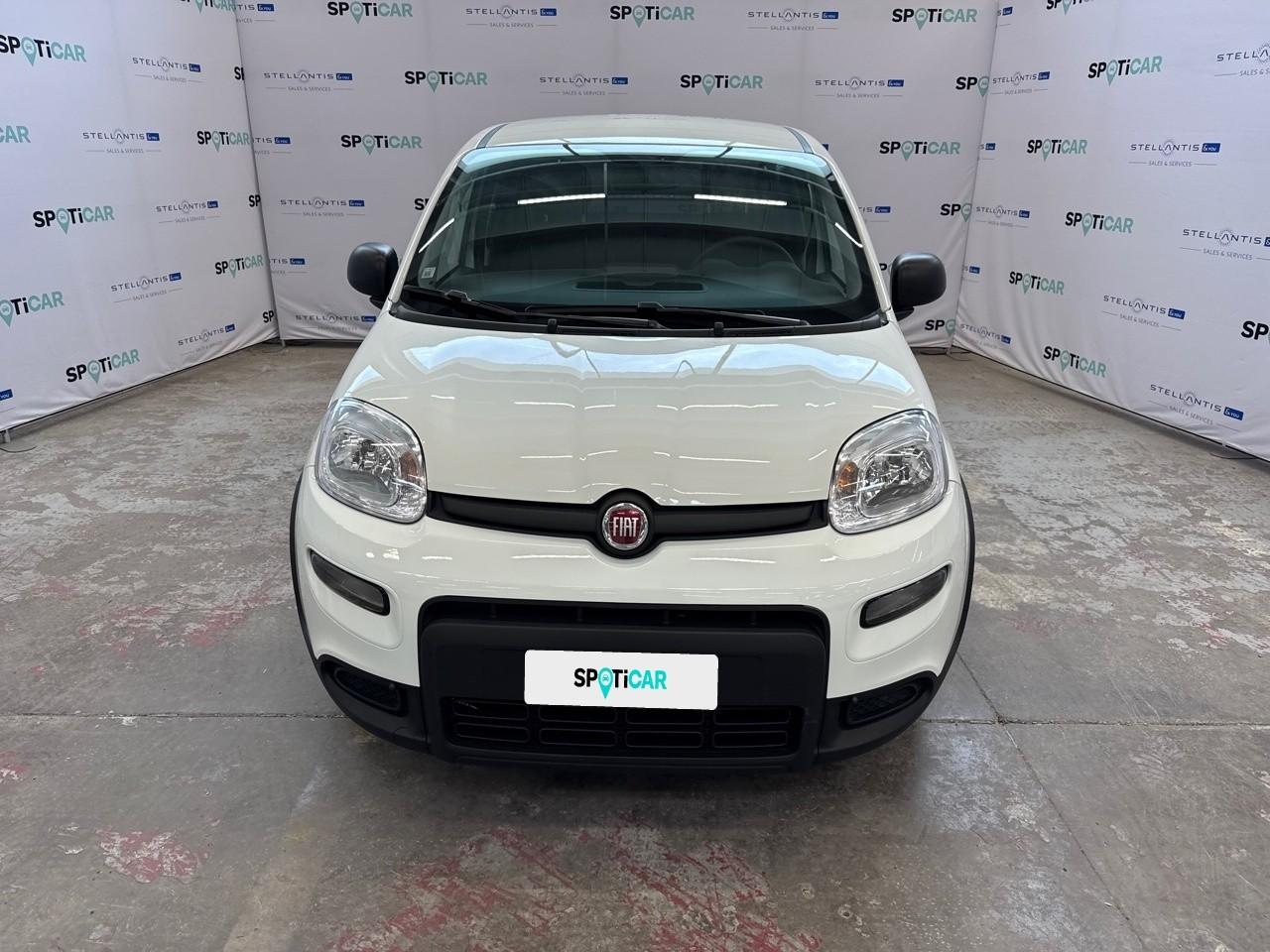 Fiat Fiat Panda usata 11
