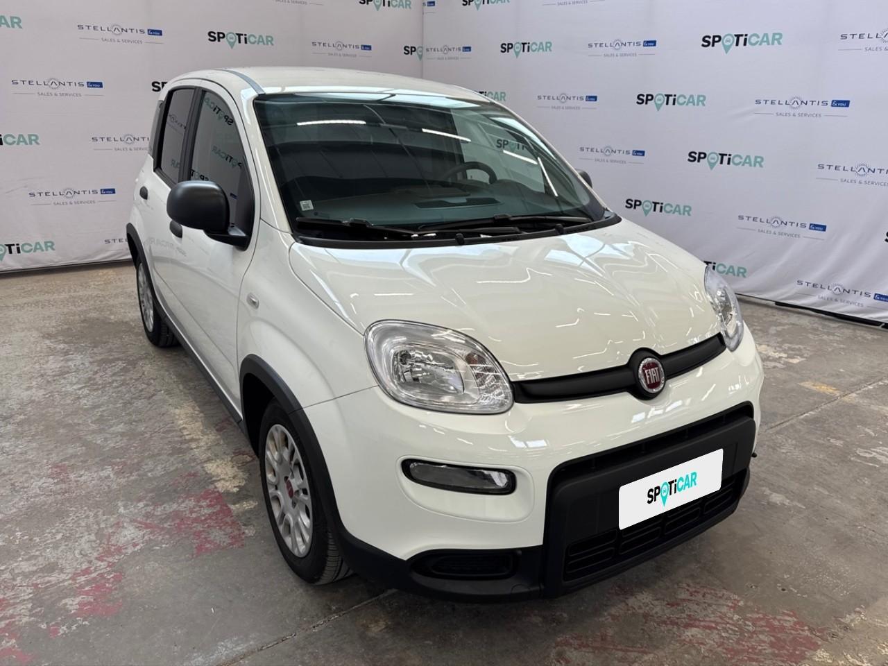 Fiat Fiat Panda usata 15