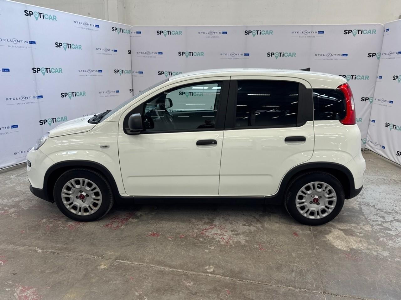 Fiat Fiat Panda usata 16