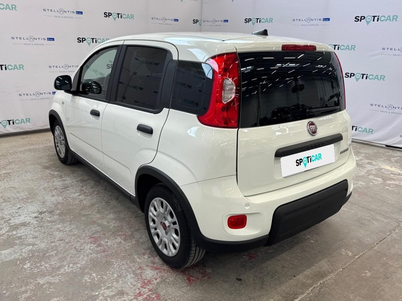 Fiat Fiat Panda usata 19