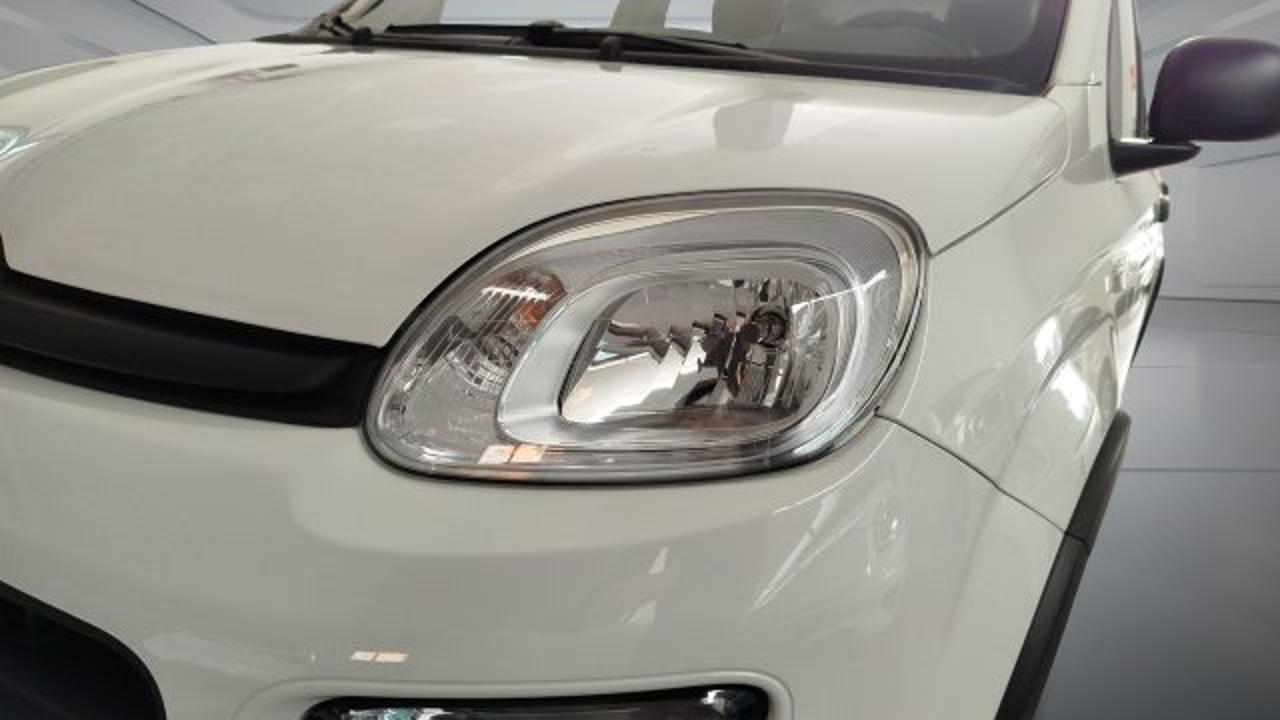 Fiat Fiat Panda usata 2