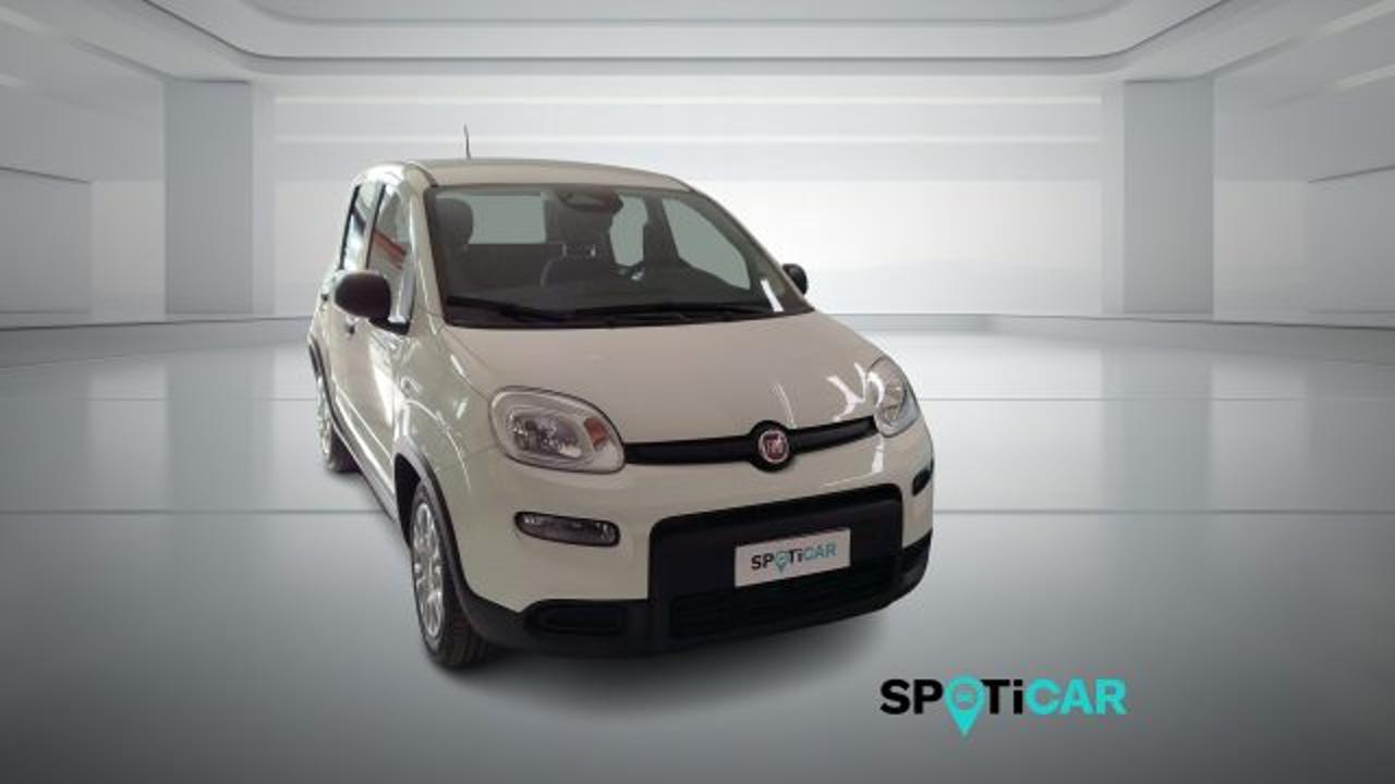 Fiat Fiat Panda usata 11