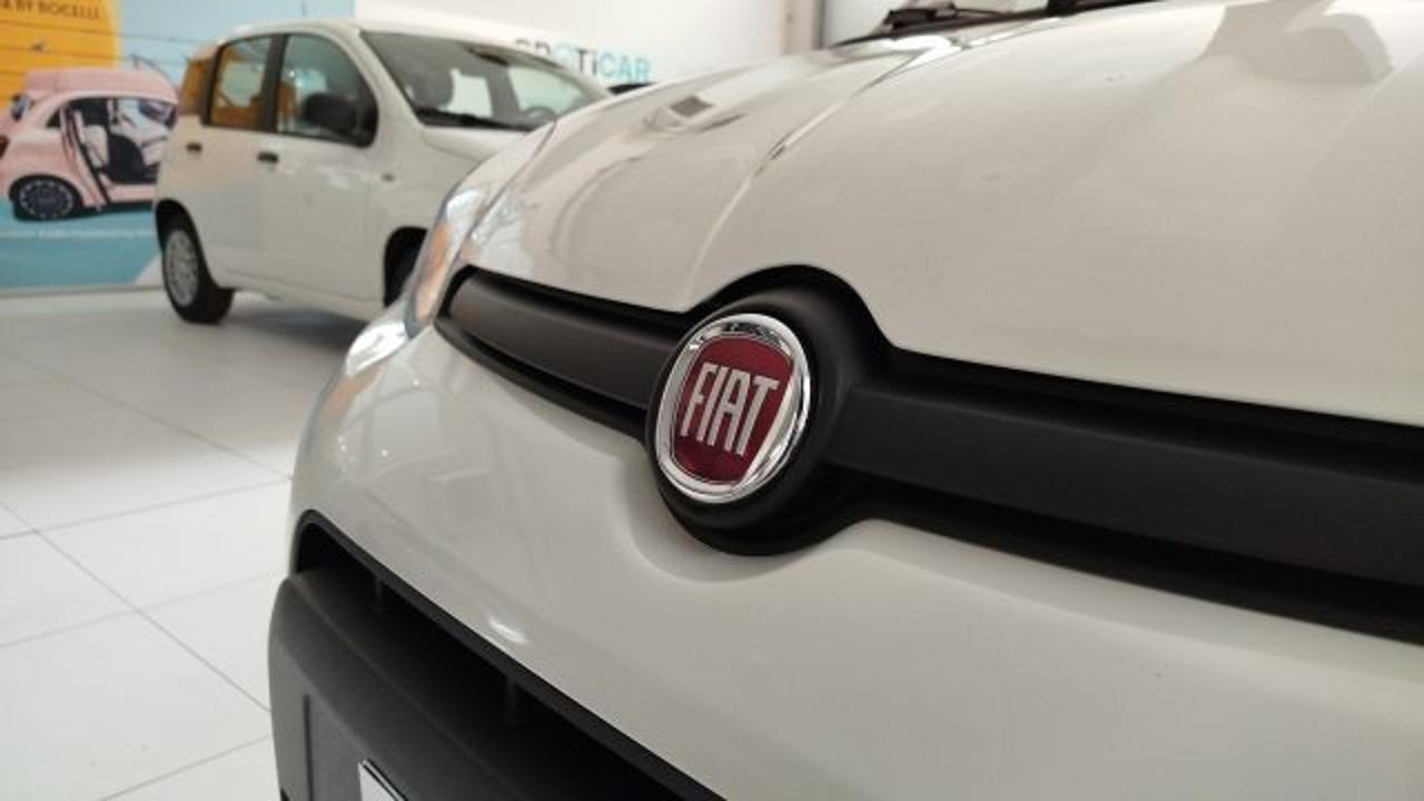 Fiat Fiat Panda usata 12