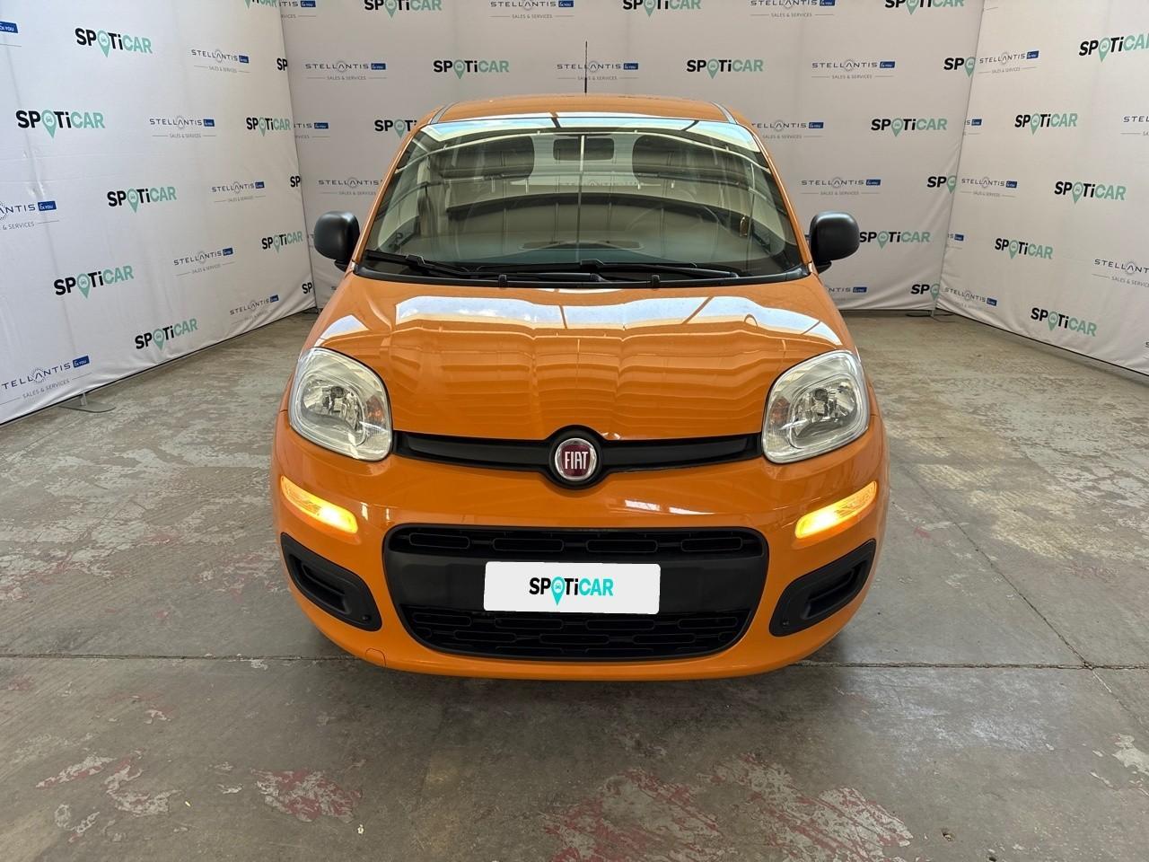 Fiat Fiat Panda usata 11