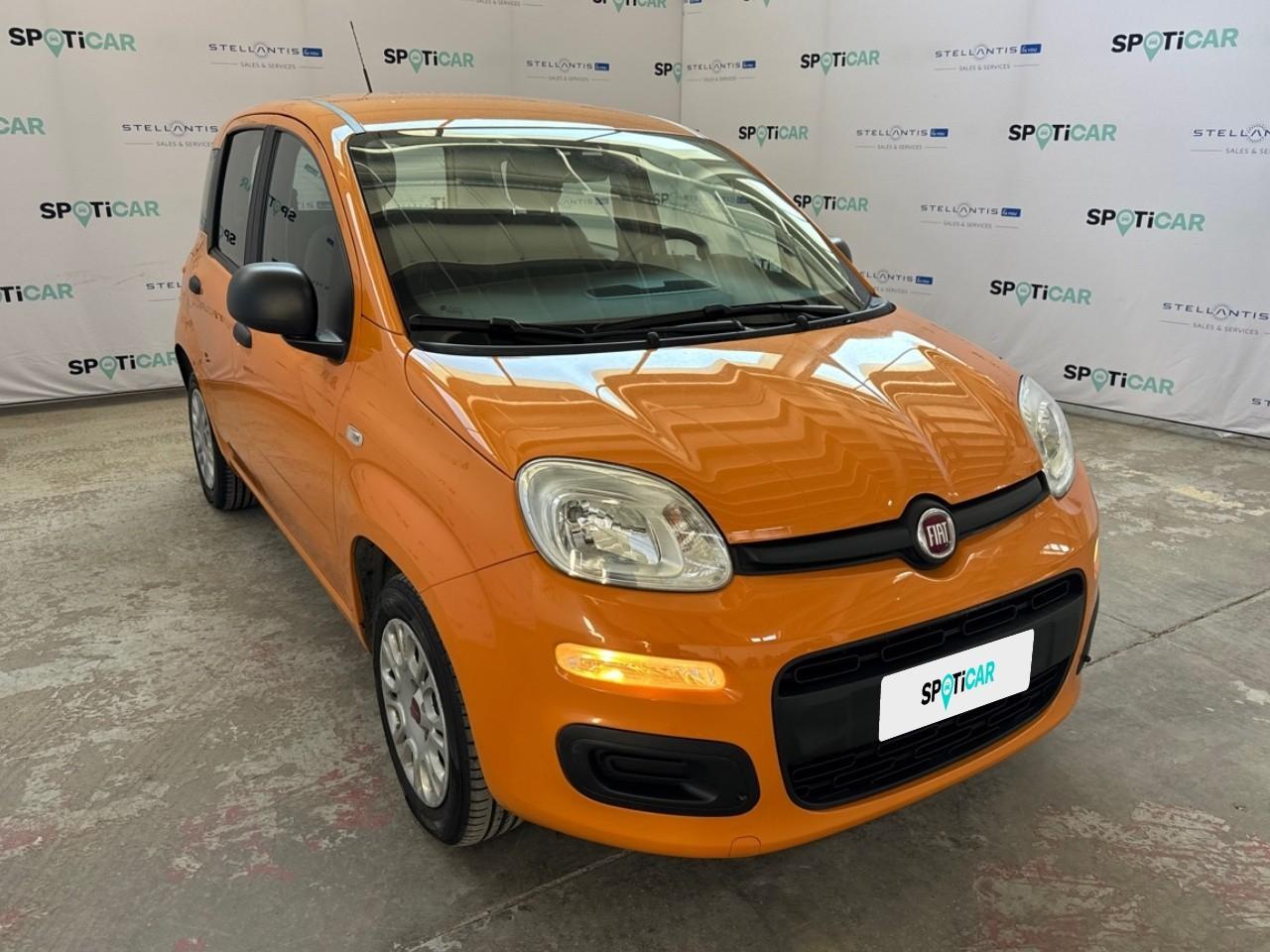 Fiat Fiat Panda usata 14