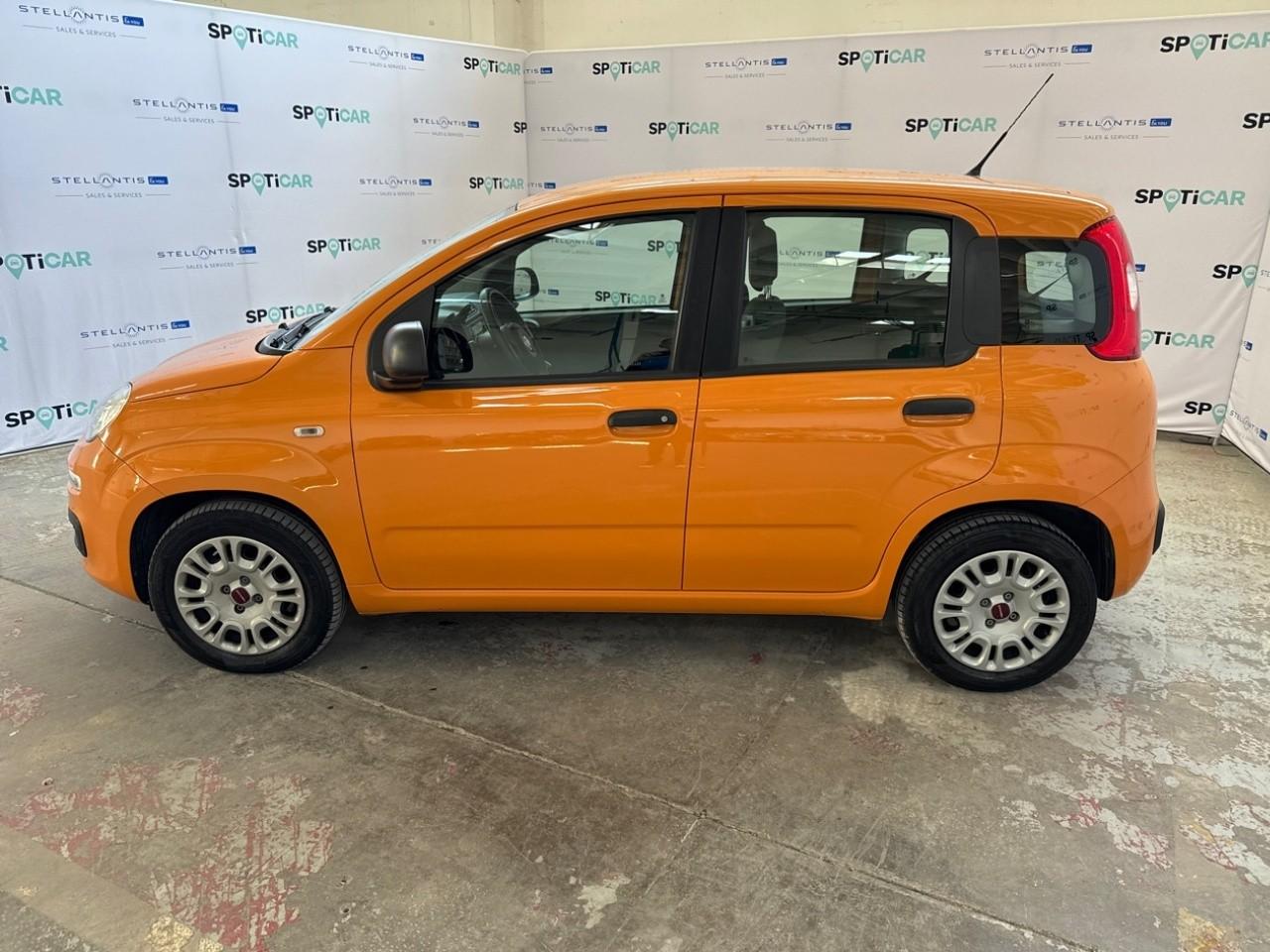 Fiat Fiat Panda usata 15
